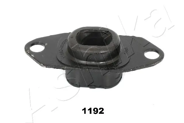 GOM1192 Ashika