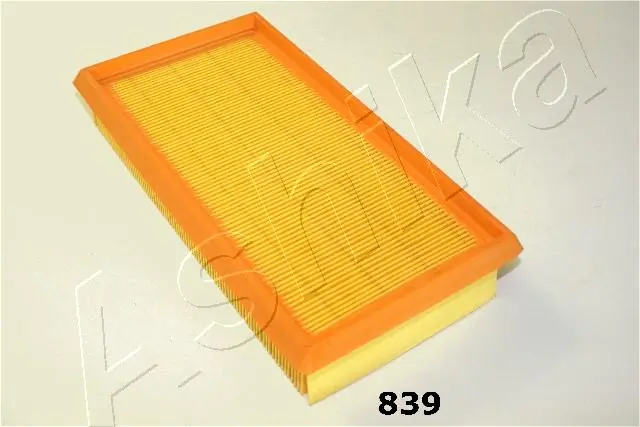 2008839 Ashika