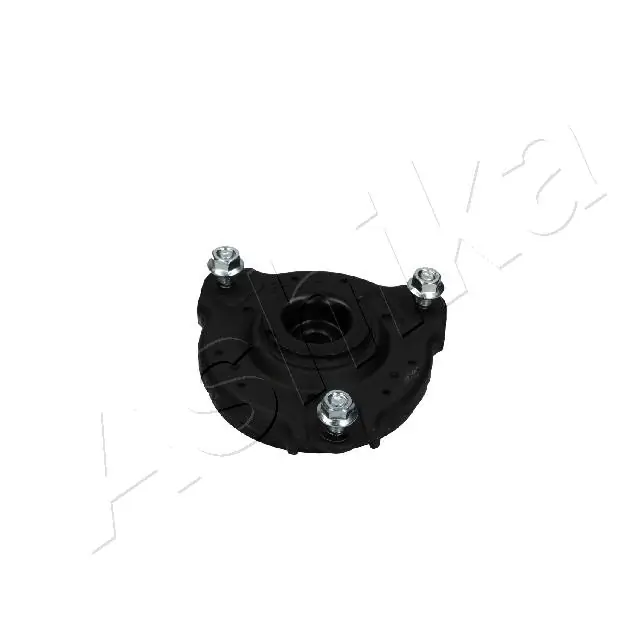 SMA0494 Ashika
