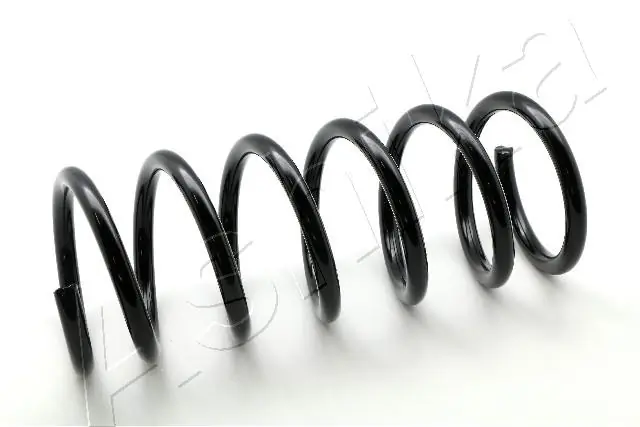 Muelle trasero Ford Mondeo IV (2007-2014)