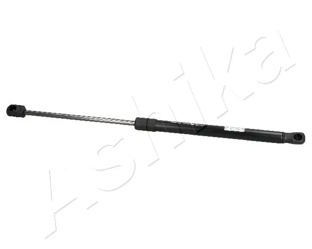 Amortiguadores de maletero Fiat 500 (334)