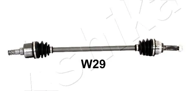 620WW29 Ashika