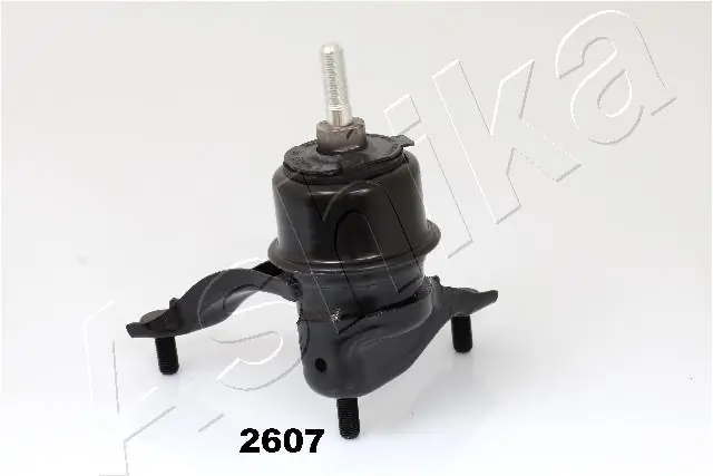 GOM2607 Ashika