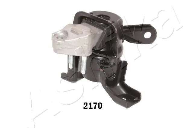 GOM2170 Ashika