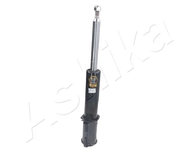 MA00307 Ashika