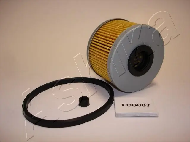 30ECO007 Ashika