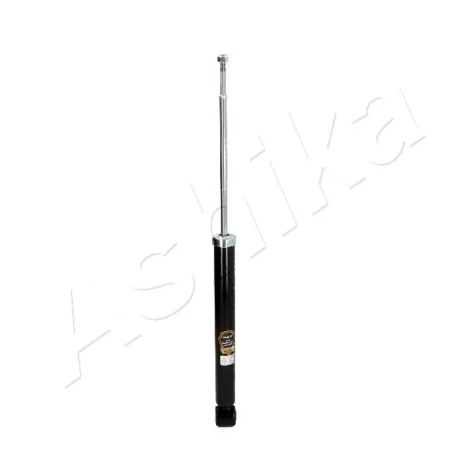 MA22065 Ashika