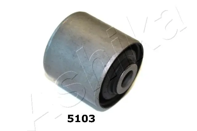 GOM5103 Ashika