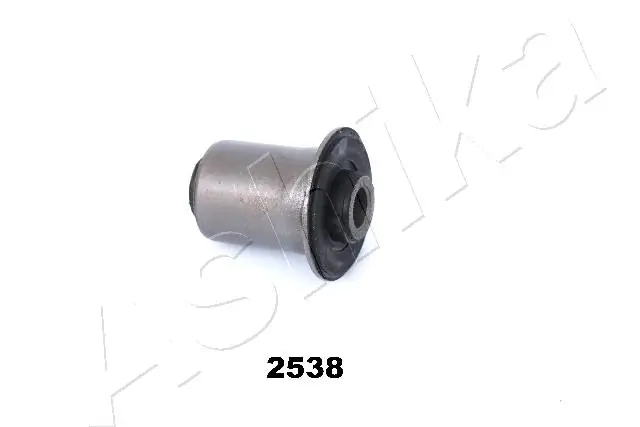 GOM2538 Ashika