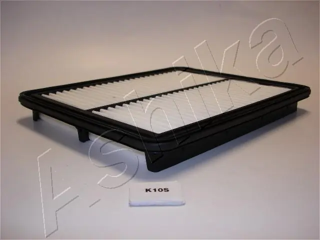 20K0010 Ashika