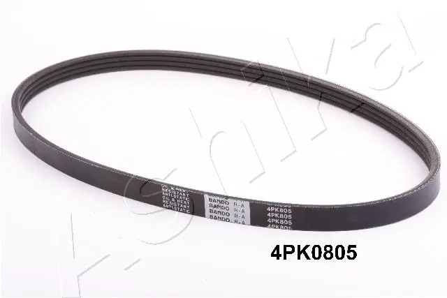 1124PK805 Ashika