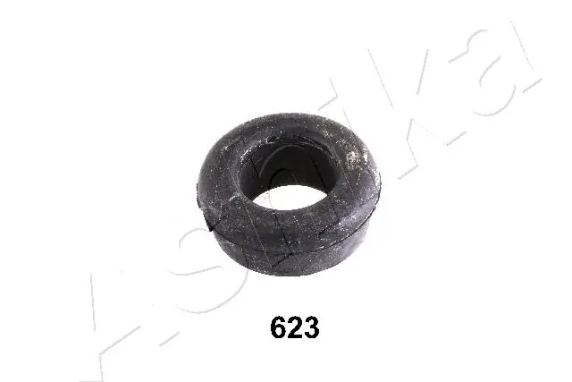 GOM623 Ashika