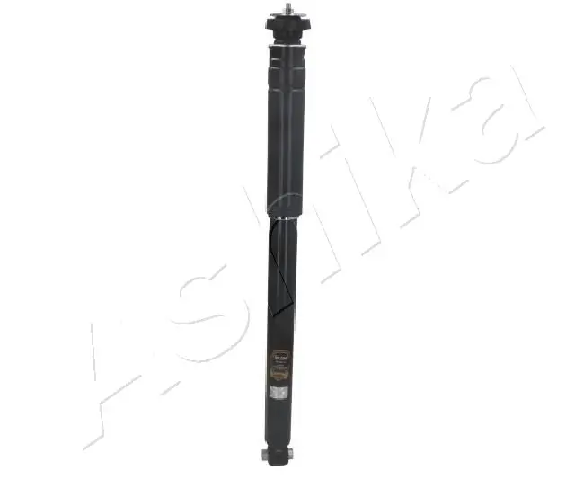 MA00299 Ashika