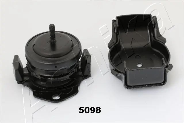 GOM5098 Ashika
