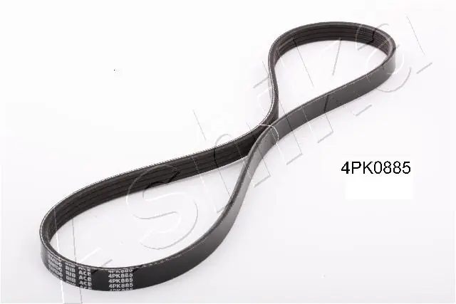 Correa de transmisión trapezoidal VAG 4PK884 precio, desde 8,21 EUR