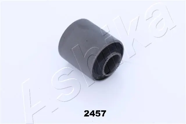 GOM2457 Ashika