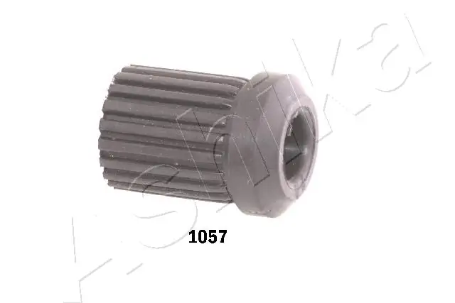 GOM1057 Ashika