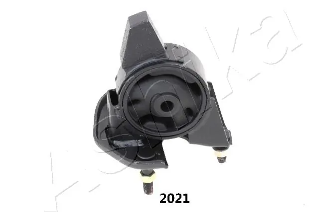 GOM2021 Ashika