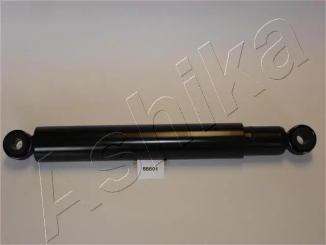 MA55601 Ashika