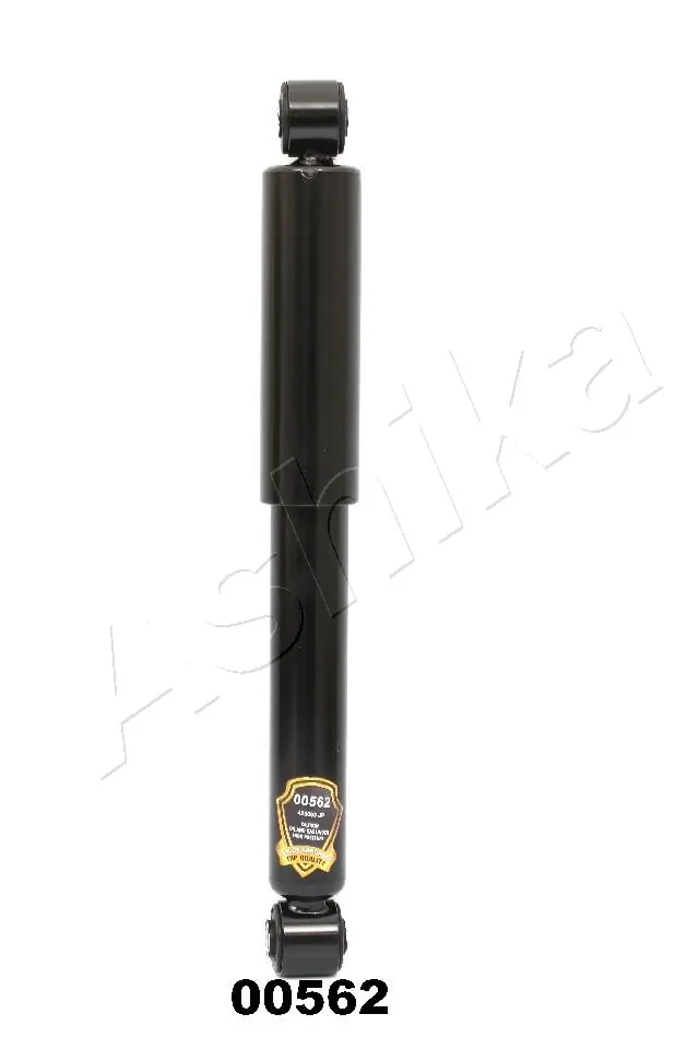 MA00562 Ashika