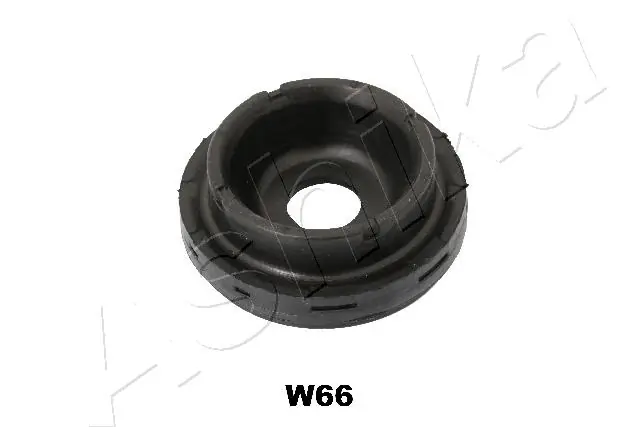 GOMW66 Ashika