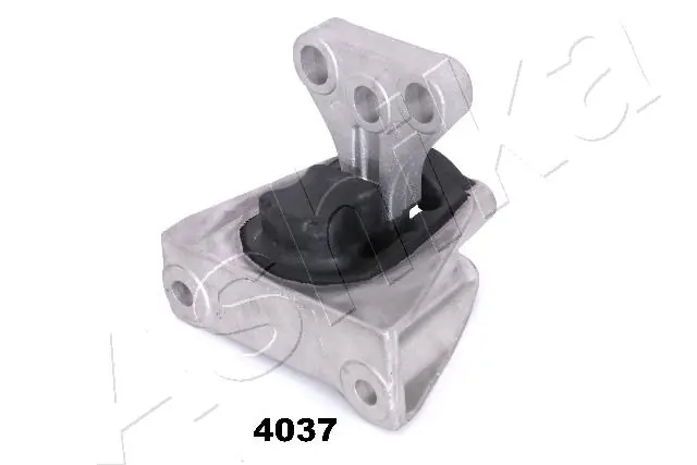 GOM4037 Ashika