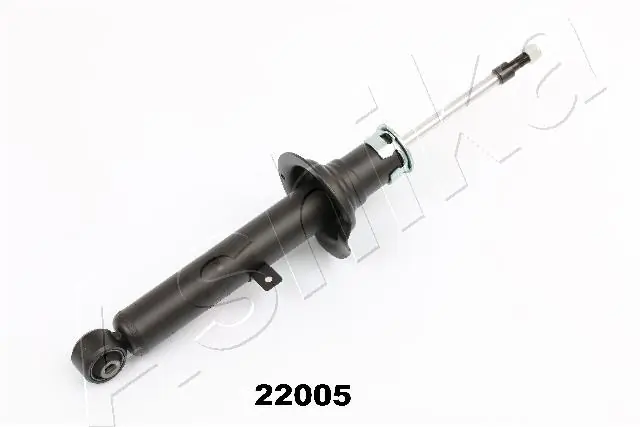 MA22005 Ashika