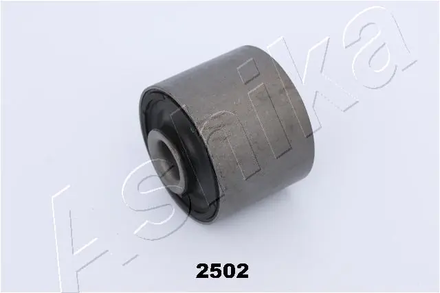 GOM2502 Ashika