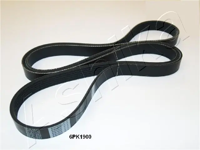 55562866 Peugeot/Citroen Correa poly v