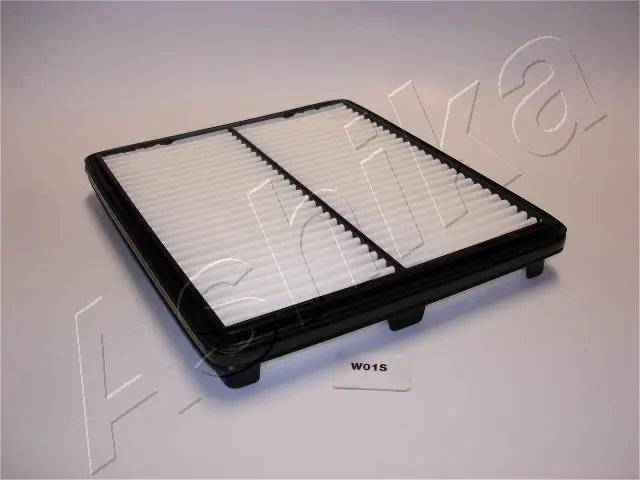 20W0001 Ashika
