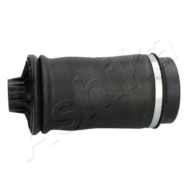 Bolsa de aire del eje trasero AND 30616005 precio, desde 149,79 EUR
