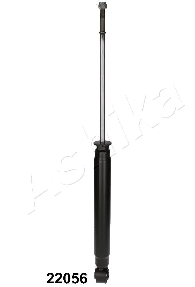 MA22056 Ashika