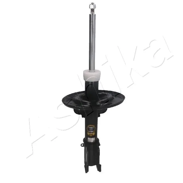 MA90006 Ashika