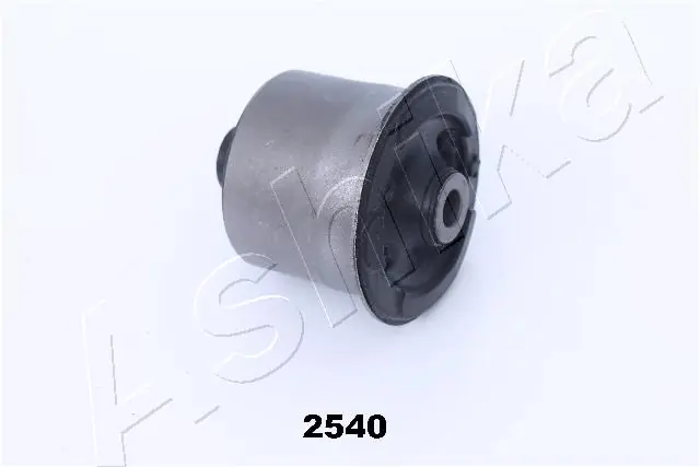 GOM2540 Ashika