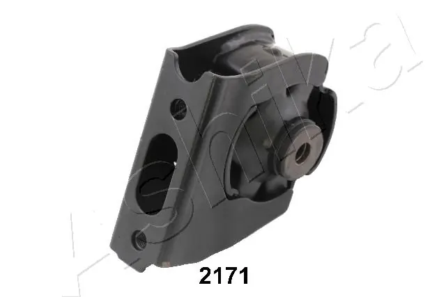 GOM2171 Ashika