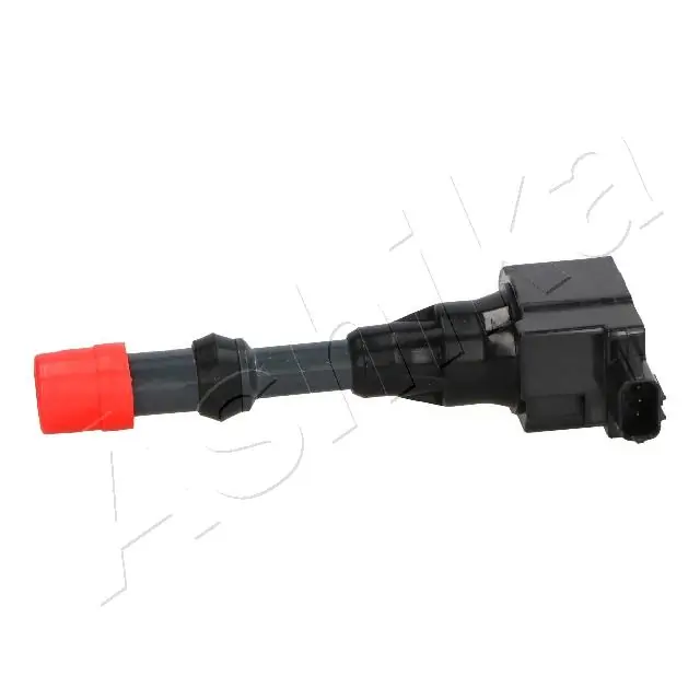 7804407 Ashika