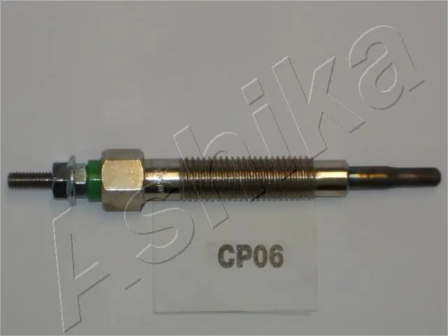 CP06 Ashika