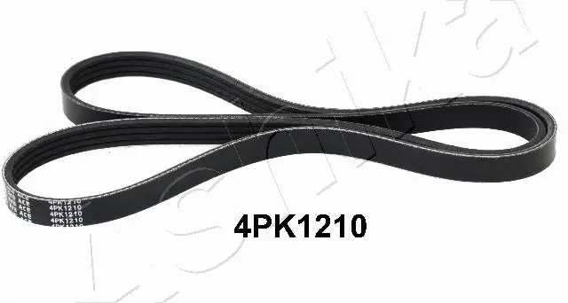 1124PK1210 Ashika