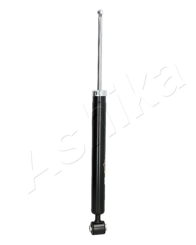 MA01101 Ashika