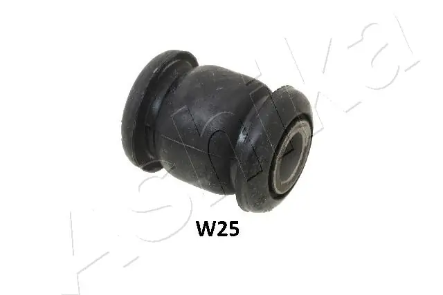 GOMW25 Ashika