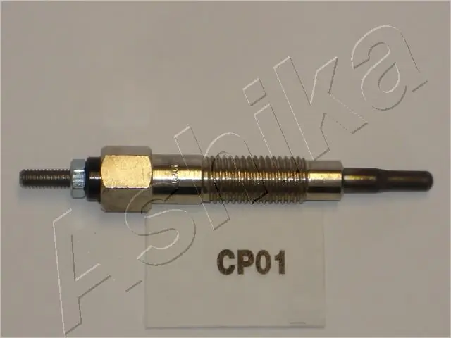 CP01 Ashika