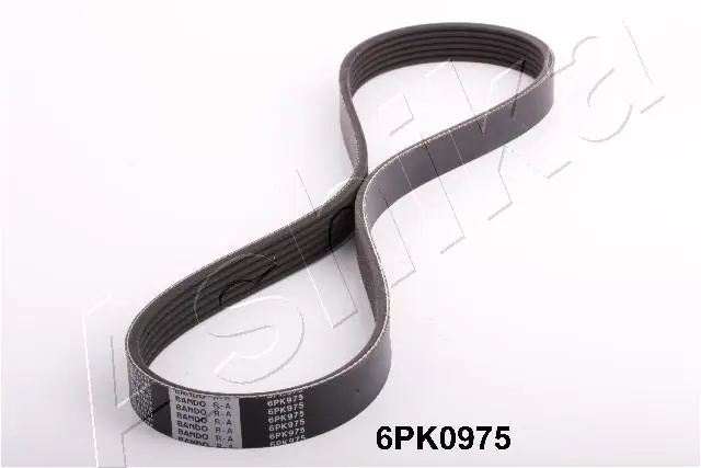 1126PK975 Ashika