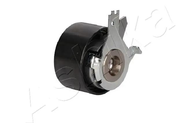 Rodillo, cadena de distribución Nissan Qashqai 2 J11