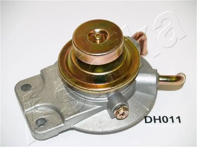 99DH011 Ashika