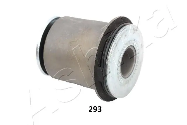GOM293 Ashika