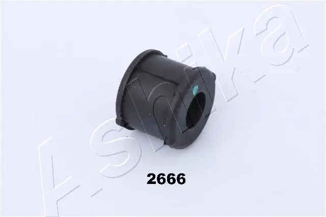 GOM2666 Ashika