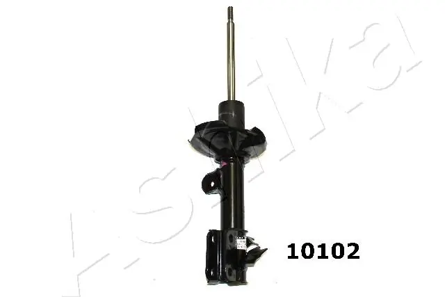 MA10102 Ashika