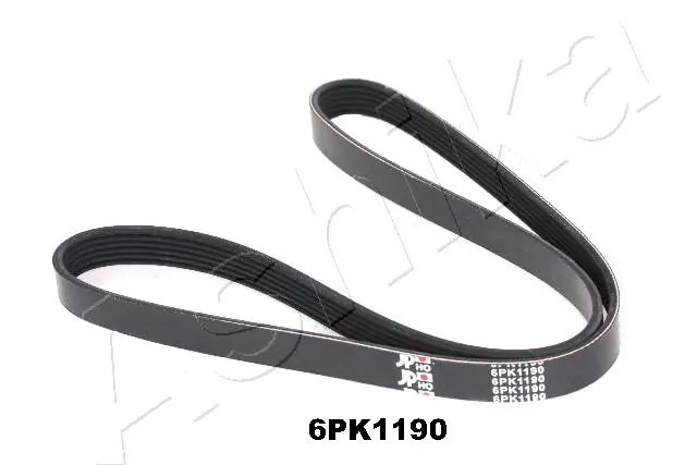 1126PK1190 Ashika