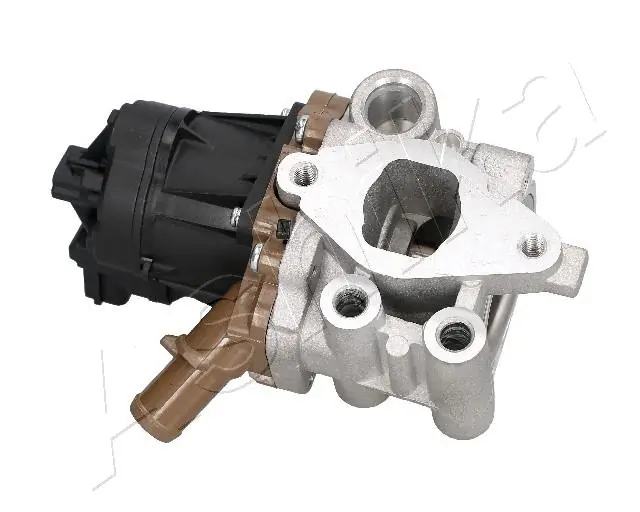 Válvula EGR para Iveco Daily VI 