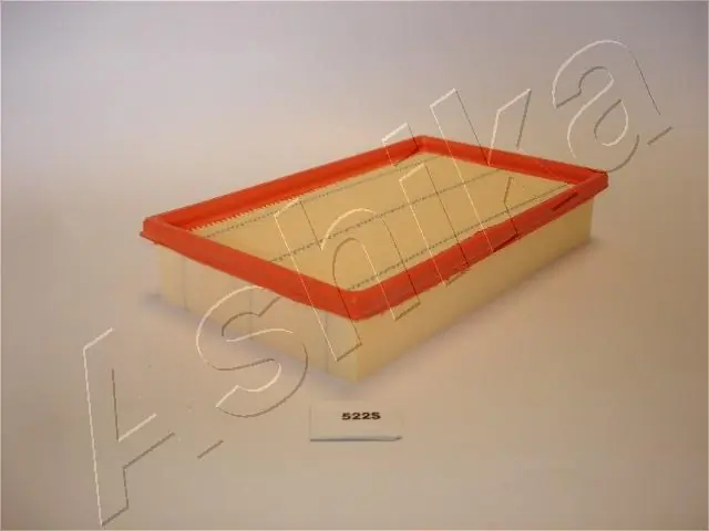 2005522 Ashika